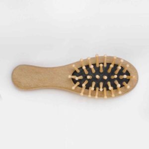 https://thebeautyandaesthetics.com/wp-content/uploads/2013/06/hair-brush-wood-300x300.jpg